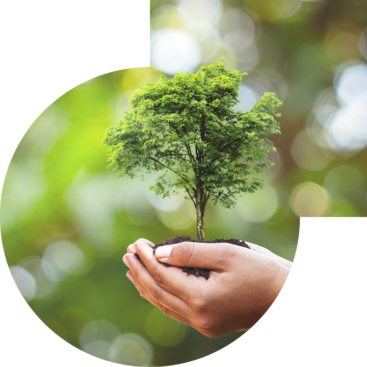 关怀人类、文化、环境与社会